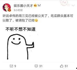 卓伟爆料出狱视频大全最新,揭秘出狱视频大全背后的真相与内幕 第1张 卓伟爆料出狱视频大全最新,揭秘出狱视频大全背后的真相与内幕 第1张