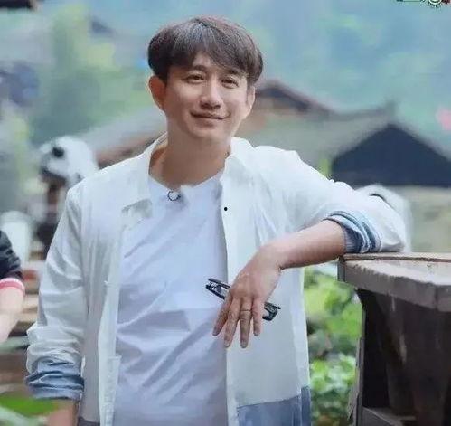 黄磊娱乐圈爆料,揭秘明星幕后故事与真实情感  第1张